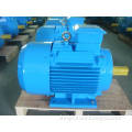 Y Series Three Phase Electric Asynchronous Motor 380/660V